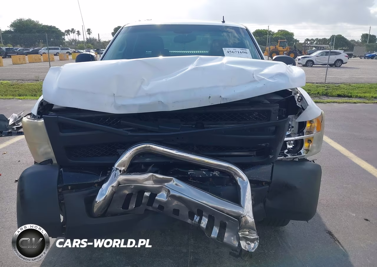2008 Chevrolet Silverado 1500 Work Truck VIN:1GCEC19X98Z206671 - 12