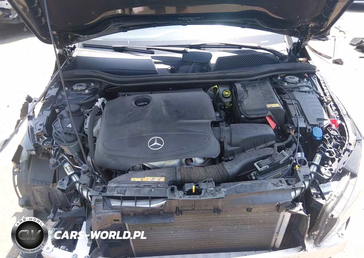 2015 Mercedes-Benz Cla 250 VIN:WDDSJ4EBXFN167491 - 10