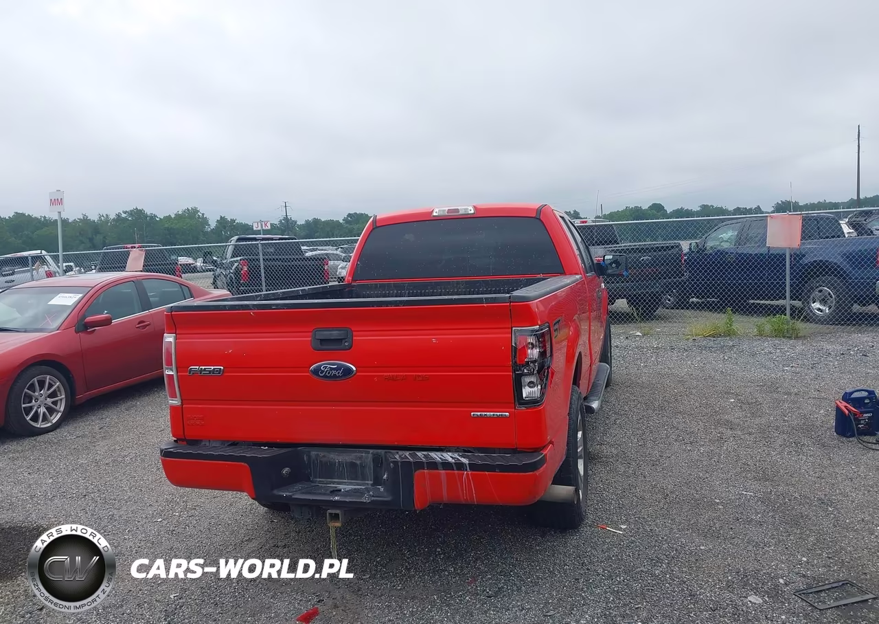 2014 Ford F-150 Stx VIN:1FTFX1CF9EFB57817 - 16