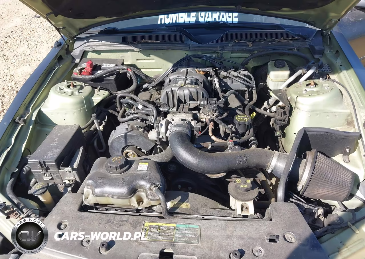 2005 Ford Mustang V6 Deluxe-V6 Premium VIN:1ZVFT80N155186828 - 10