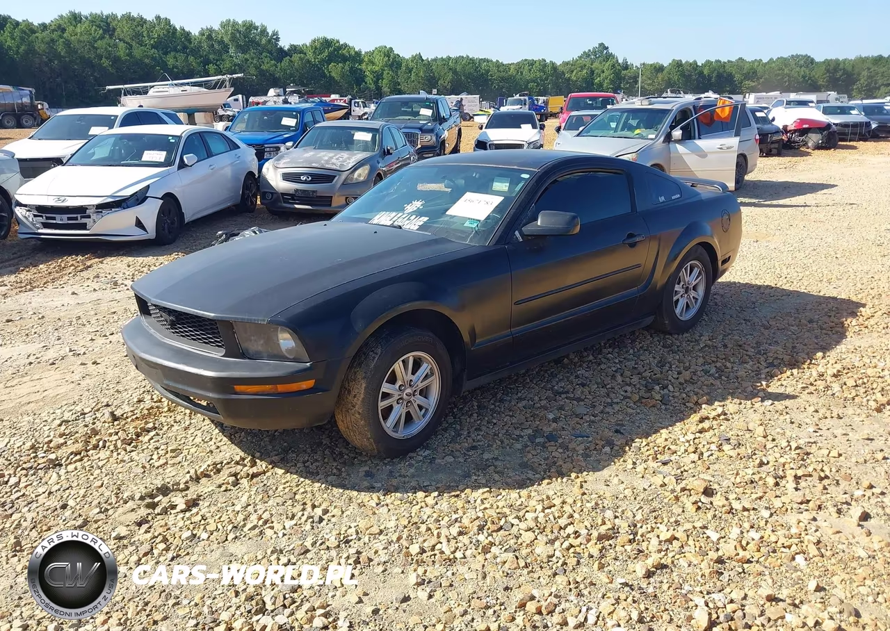 2005 Ford Mustang V6 Deluxe-V6 Premium VIN:1ZVFT80N155186828 - 2
