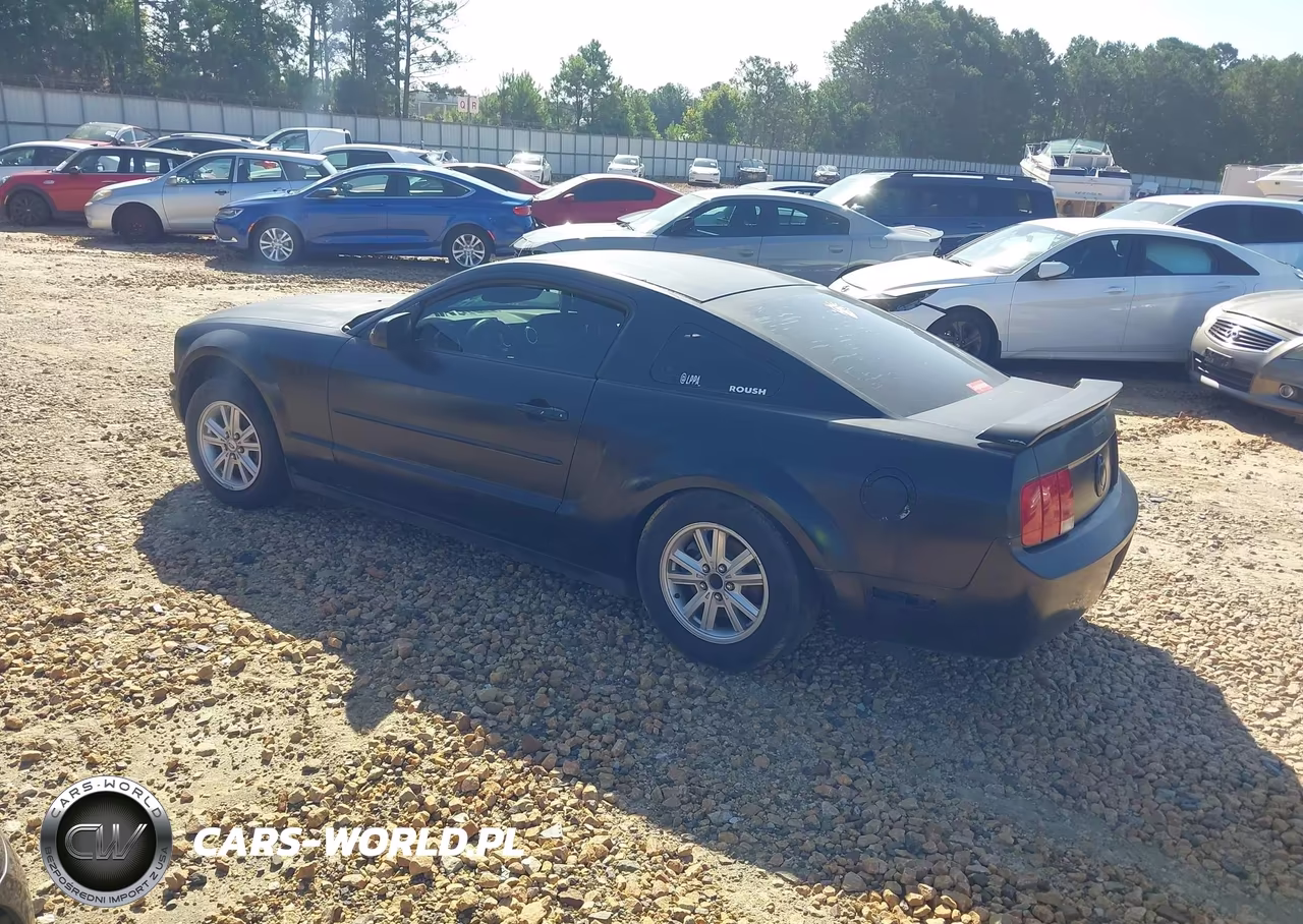 2005 Ford Mustang V6 Deluxe-V6 Premium VIN:1ZVFT80N155186828 - 3