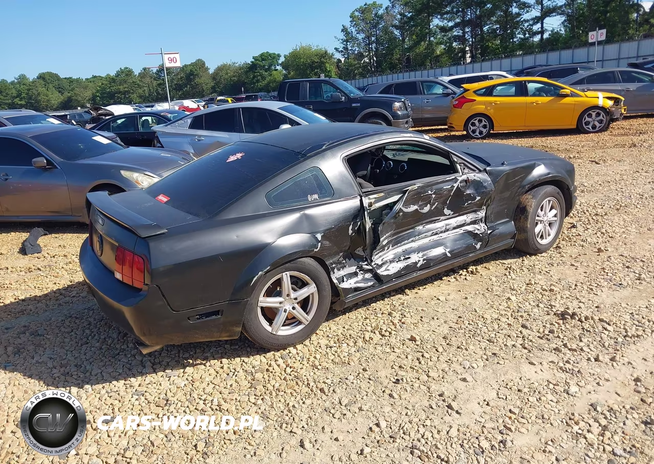 2005 Ford Mustang V6 Deluxe-V6 Premium VIN:1ZVFT80N155186828 - 4