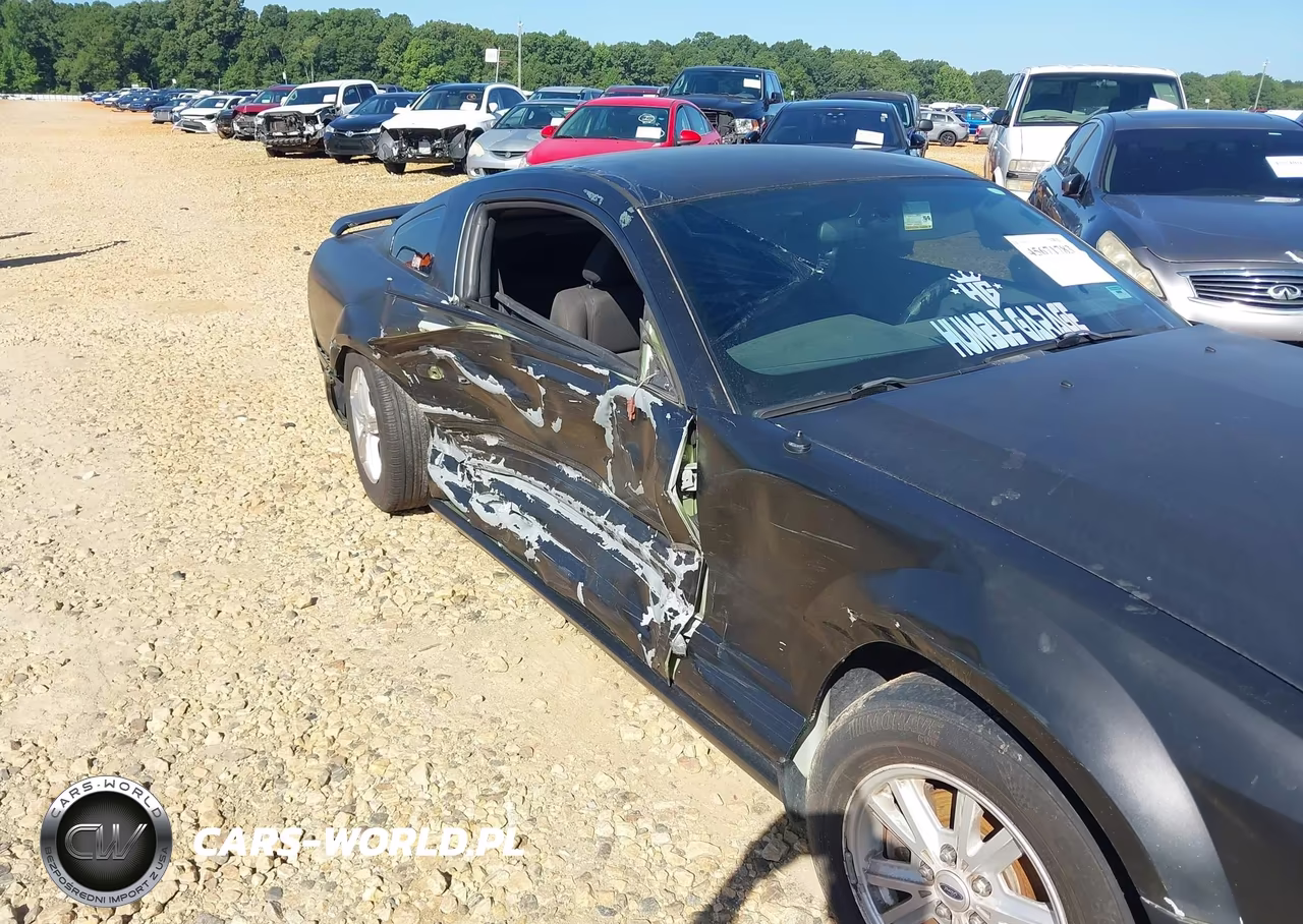 2005 Ford Mustang V6 Deluxe-V6 Premium VIN:1ZVFT80N155186828 - 6