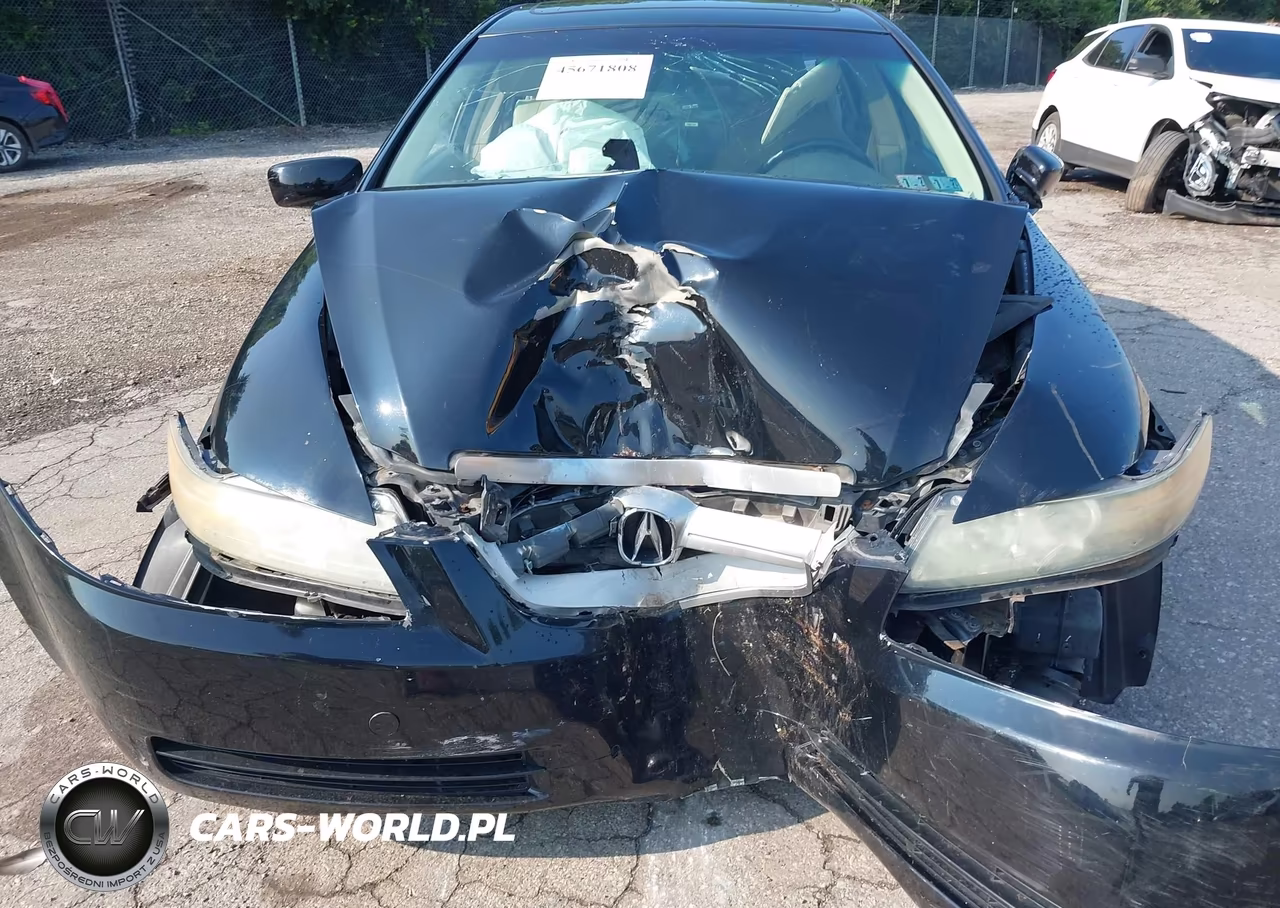 2004 Acura Tl VIN:19UUA66224A051687 - 10