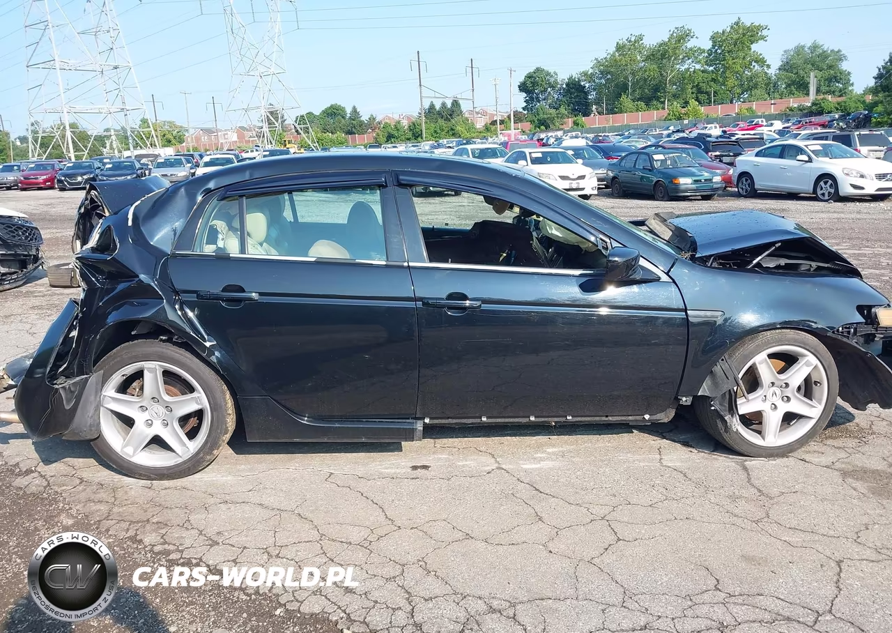 2004 Acura Tl VIN:19UUA66224A051687 - 13