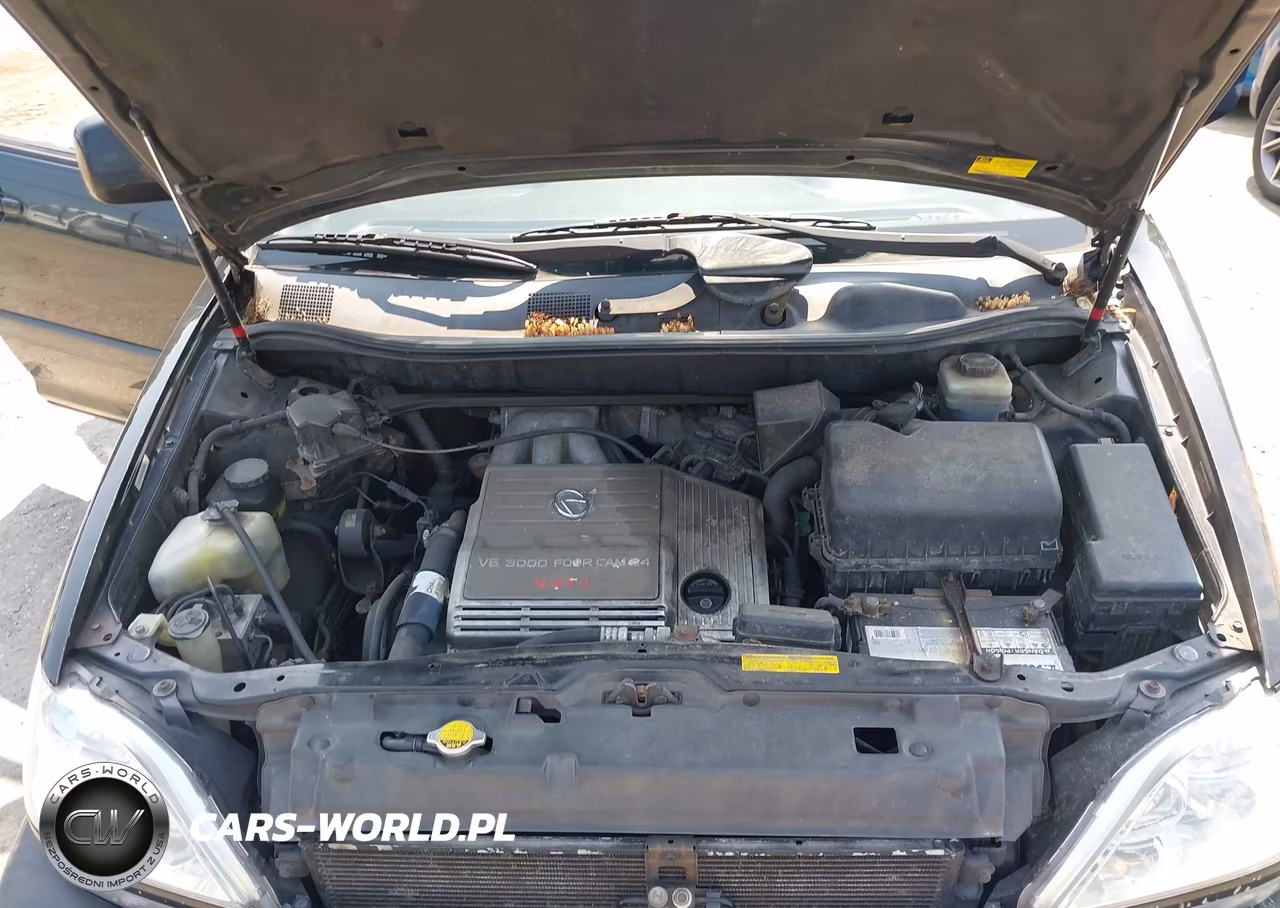 2001 Lexus Rx 300 VIN:JTJHF10U110175799 - 10