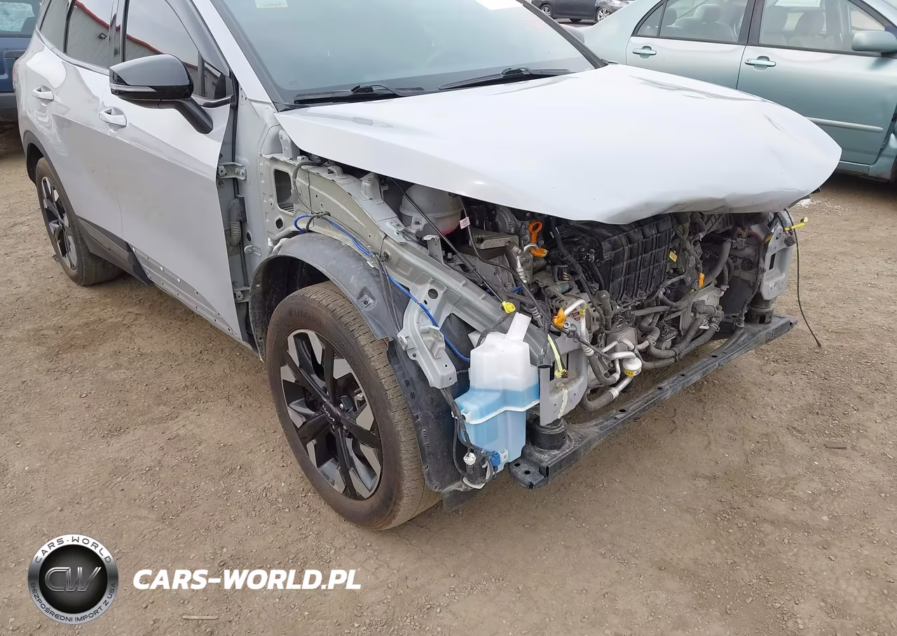 2024 Kia Sportage X-Line VIN:5XYK6CDF7RG209864 - 19