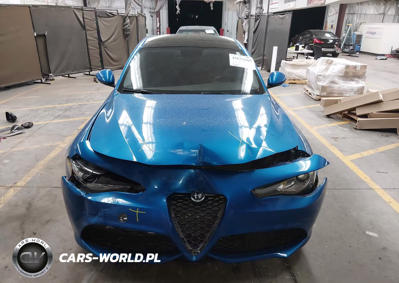 2019 Alfa Romeo Giulia Sport Rwd VIN:ZARFAMAN3K7607020 - 12