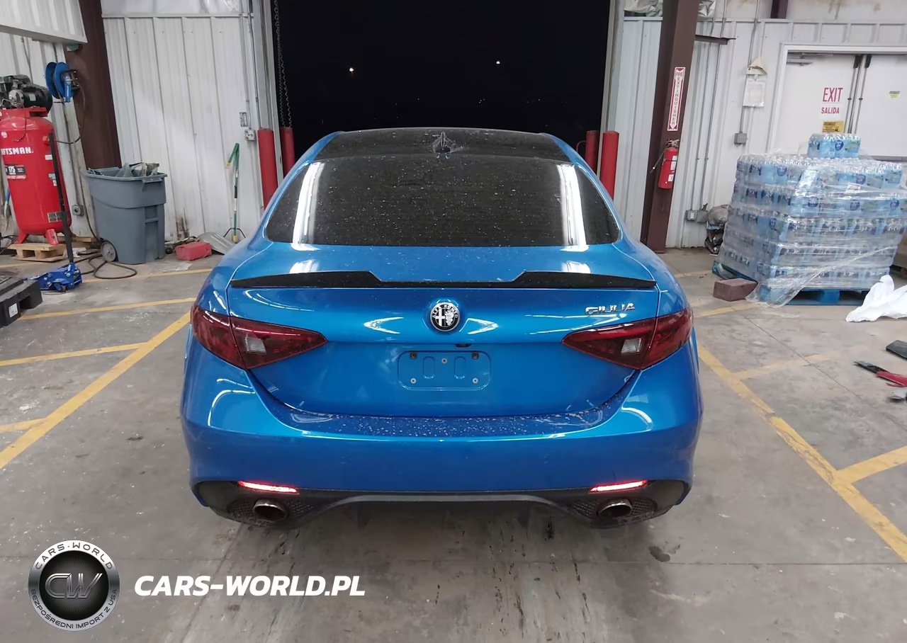 2019 Alfa Romeo Giulia Sport Rwd VIN:ZARFAMAN3K7607020 - 16