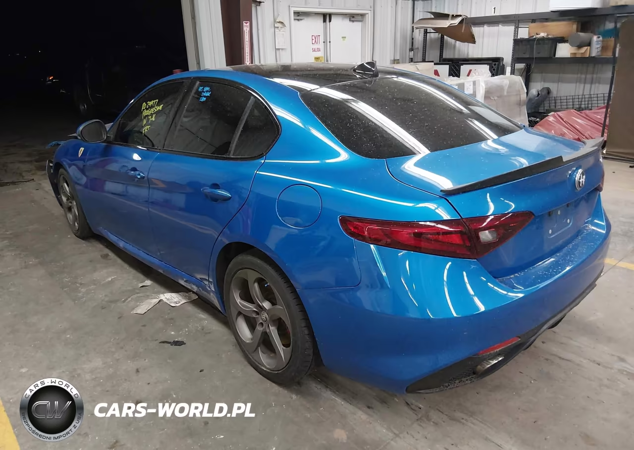 2019 Alfa Romeo Giulia Sport Rwd VIN:ZARFAMAN3K7607020 - 3