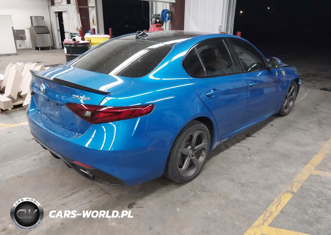 2019 Alfa Romeo Giulia Sport Rwd VIN:ZARFAMAN3K7607020 - 4