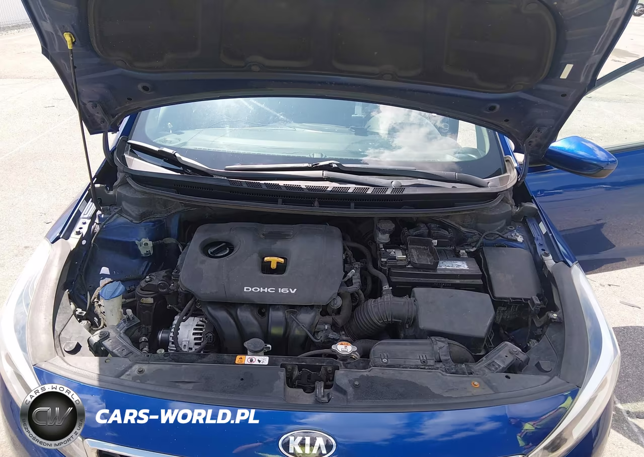 2017 Kia Forte Lx VIN:3KPFK4A70HE086131 - 10