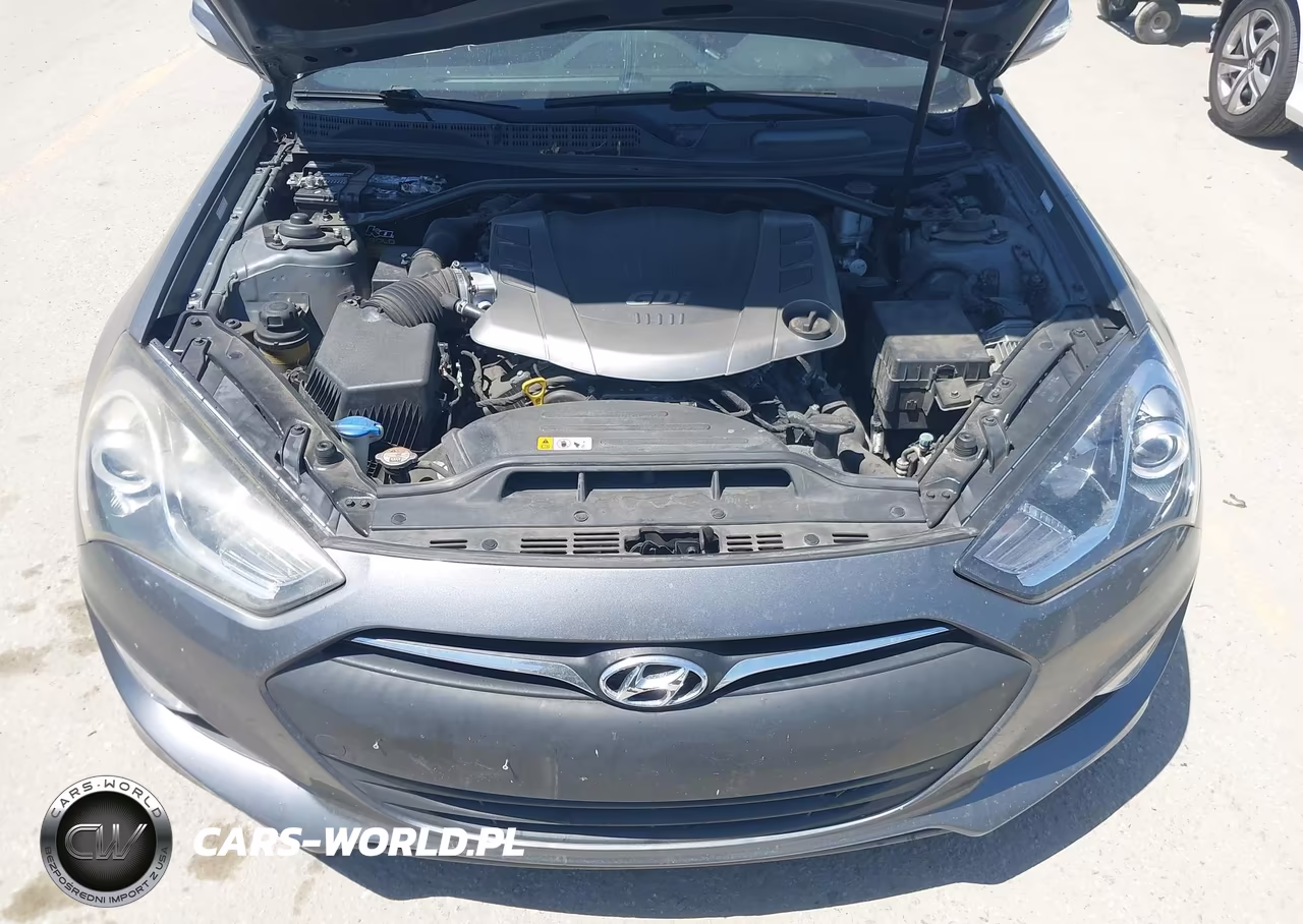 2016 Hyundai Genesis VIN:KMHHT6KJ1GU133853 - 10