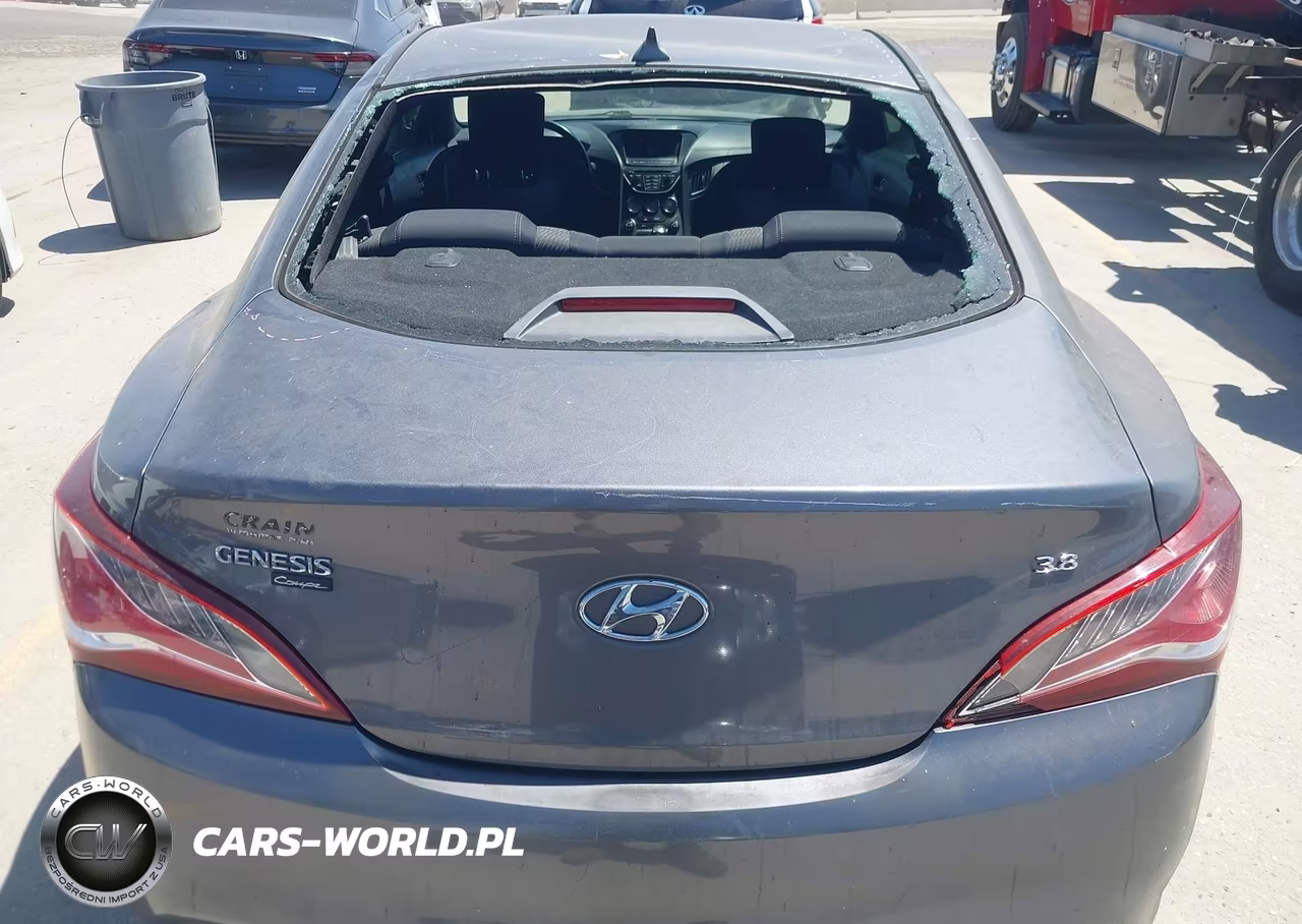 2016 Hyundai Genesis VIN:KMHHT6KJ1GU133853 - 6