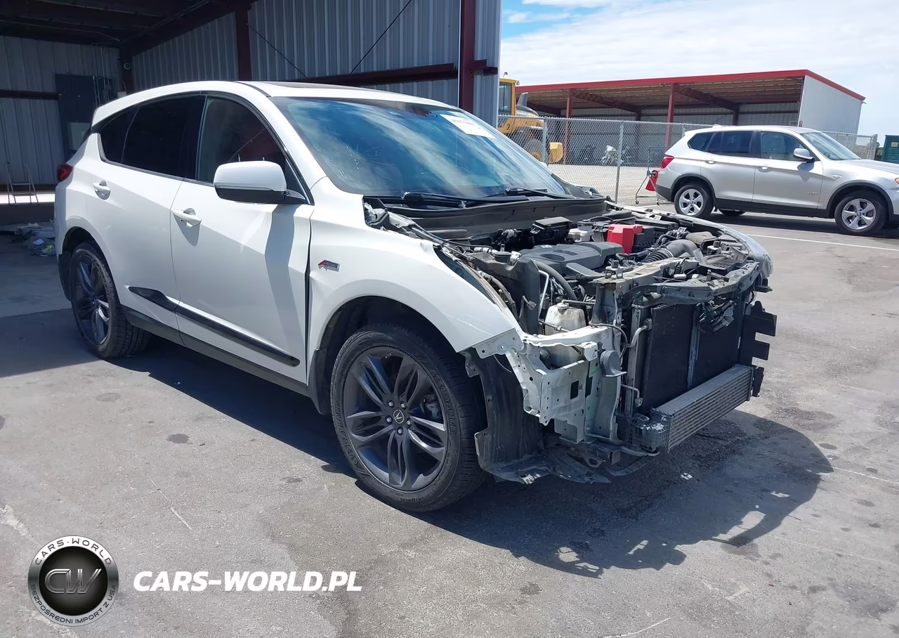 2019 Acura Rdx A-Spec Package