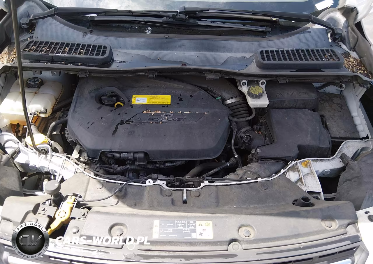 2016 Ford Escape Se VIN:1FMCU0GX5GUA39718 - 10