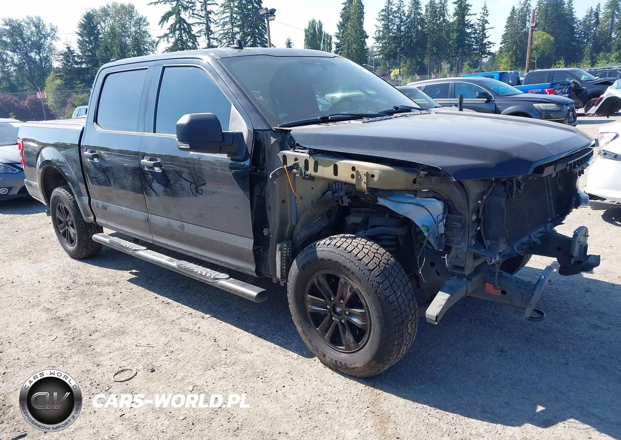 2019 Ford F-150 Xlt – zdjęcie 1 z 20
