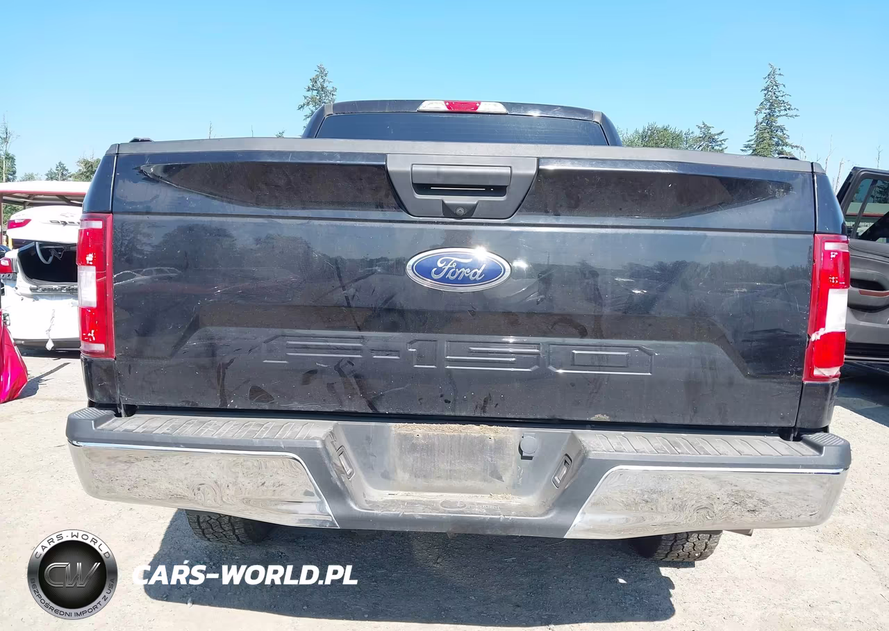 2019 Ford F-150 Xlt VIN:1FTEW1E59KKD06667 - 17