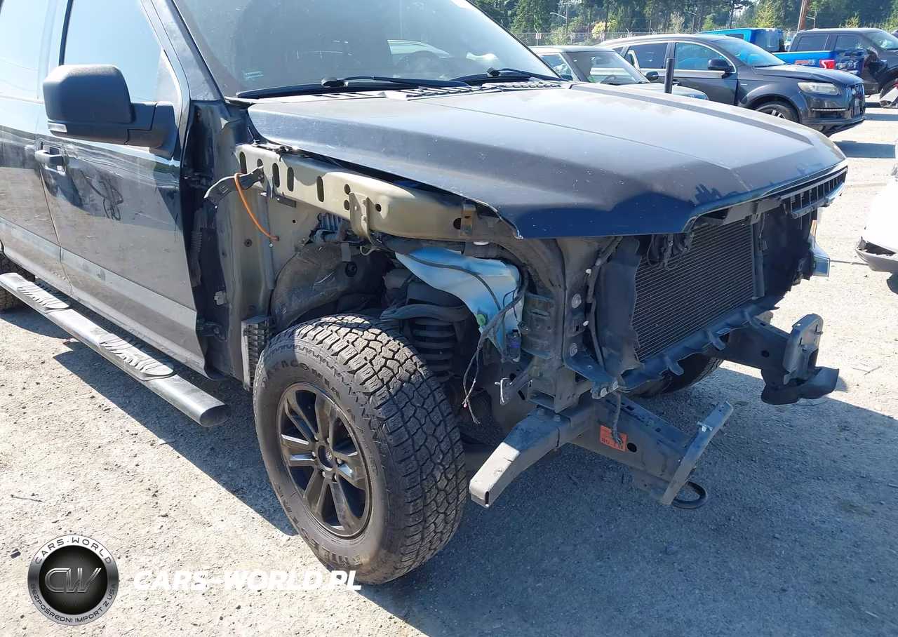 2019 Ford F-150 Xlt VIN:1FTEW1E59KKD06667 - 19