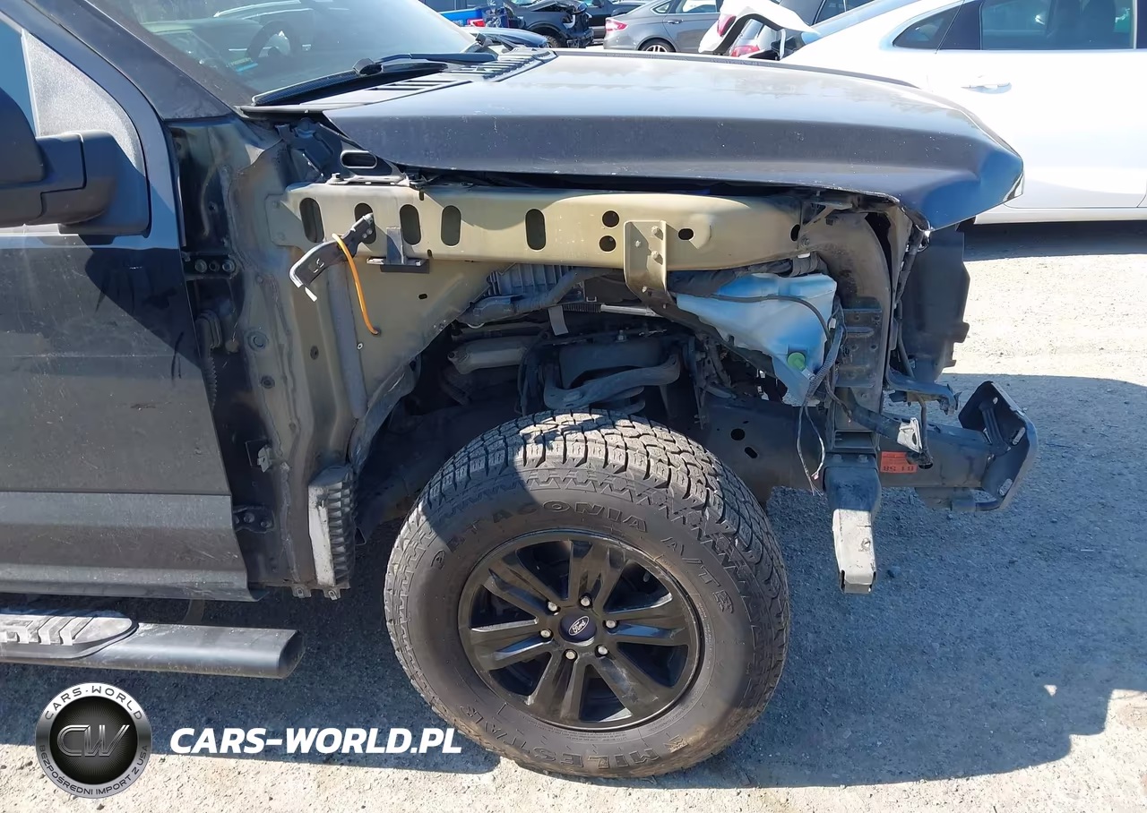 2019 Ford F-150 Xlt VIN:1FTEW1E59KKD06667 - 20