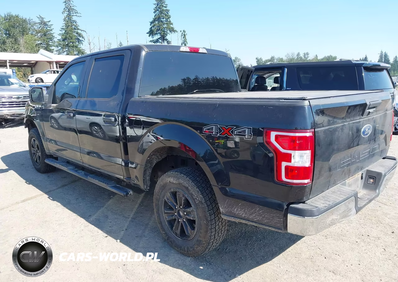 2019 Ford F-150 Xlt VIN:1FTEW1E59KKD06667 - 3