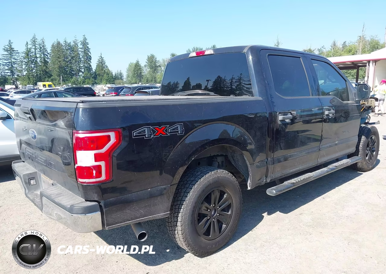 2019 Ford F-150 Xlt VIN:1FTEW1E59KKD06667 - 4
