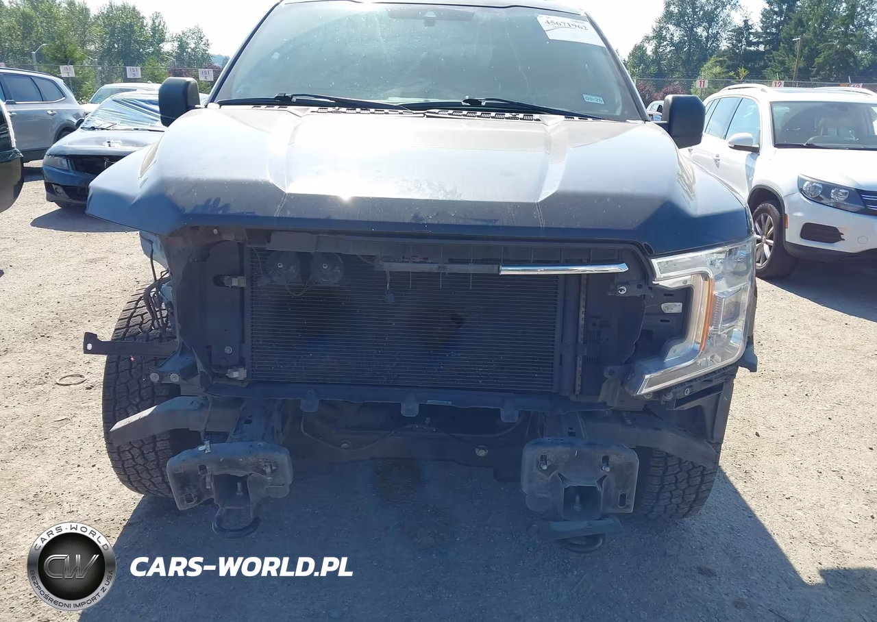 2019 Ford F-150 Xlt VIN:1FTEW1E59KKD06667 - 6