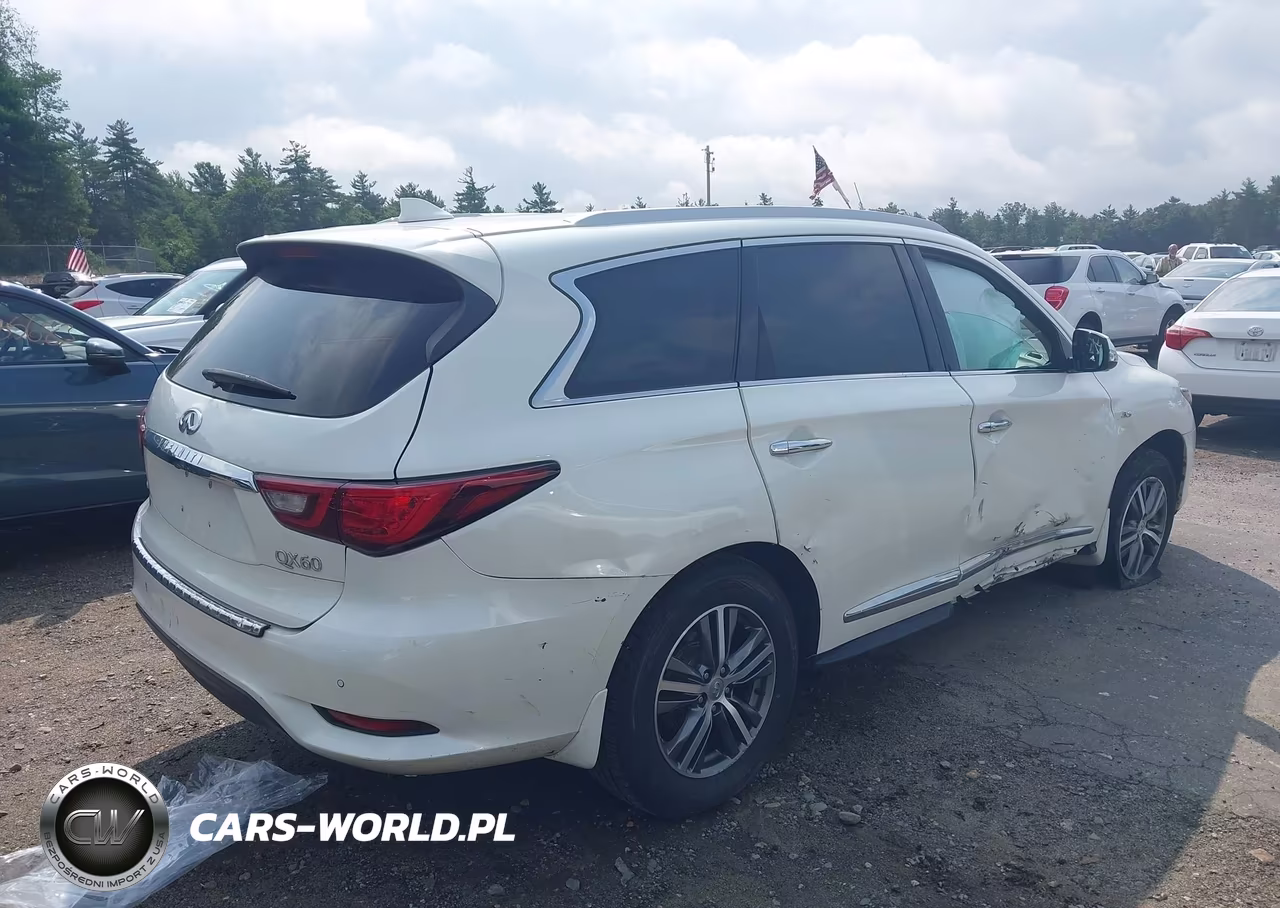 2020 Infiniti Qx60 Luxe Awd VIN:5N1DL0MM4LC502790 - 4