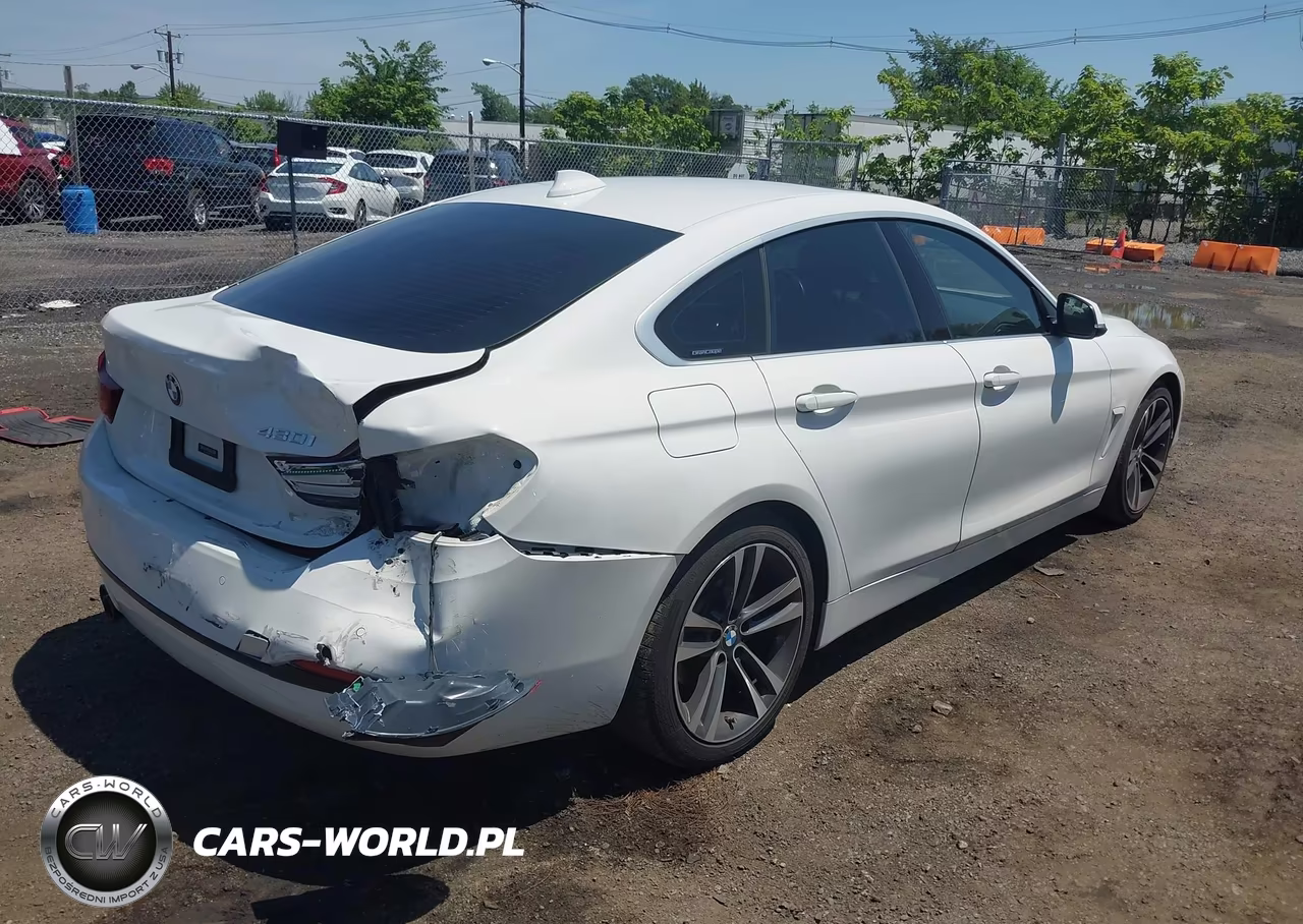 2020 BMW 430I Gran Coupe VIN:WBA4J1C06LCD51885 - 4