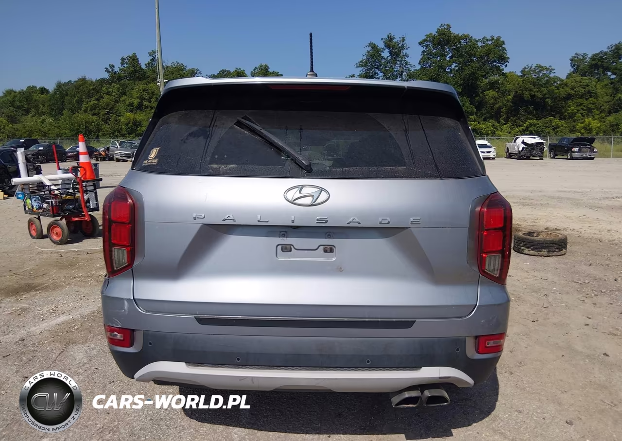 2020 Hyundai Palisade Sel VIN:KM8R34HE0LU128401 - 16
