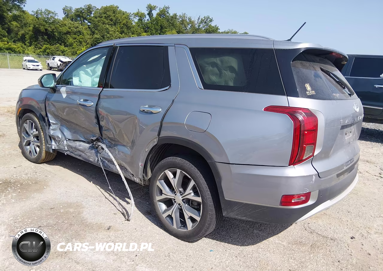 2020 Hyundai Palisade Sel VIN:KM8R34HE0LU128401 - 3