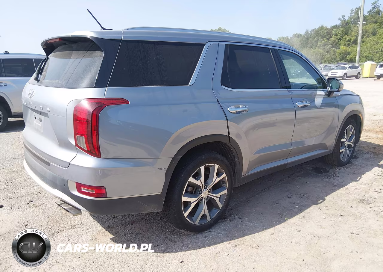 2020 Hyundai Palisade Sel VIN:KM8R34HE0LU128401 - 4