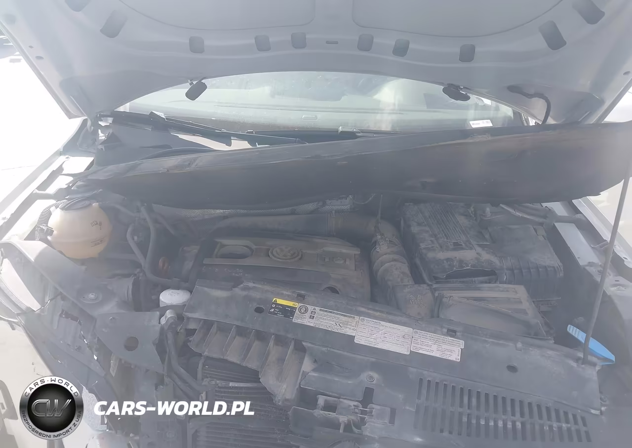 2013 Volkswagen Tiguan Se VIN:WVGBV3AX9DW566728 - 10