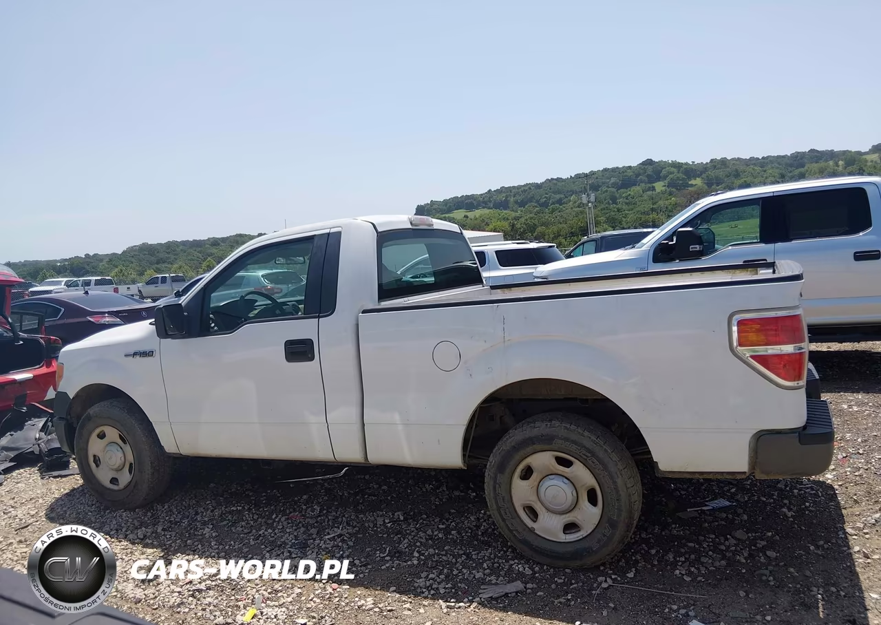 2009 Ford F-150 Stx-Xl-Xl W-Midbox Prep-Xlt-Xlt W-Midbox Prep VIN:1FTRF12W59KC60893 - 14
