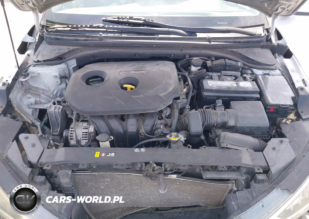 HYUNDAI ELANTRA VIN:5NPD74LF2LH499606 - 10