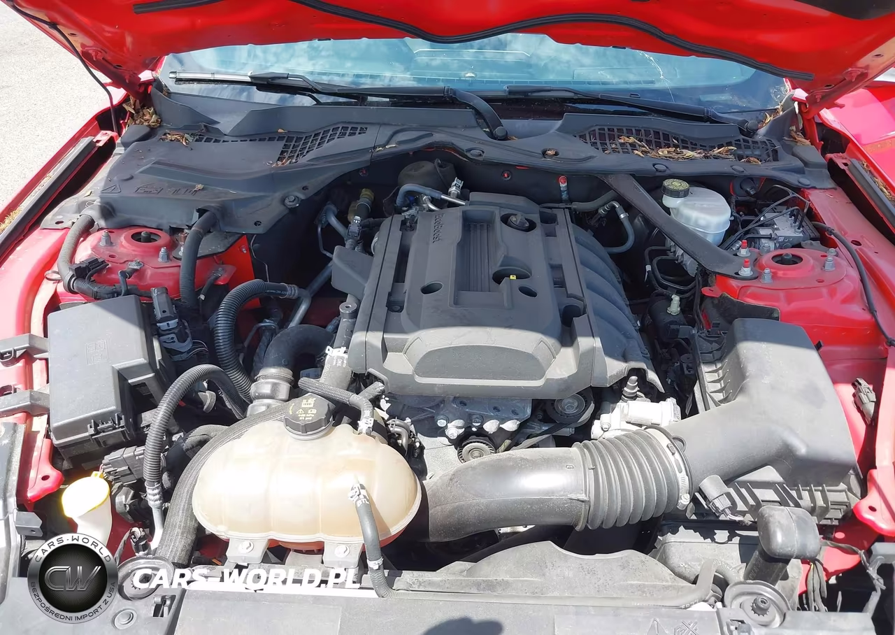 2019 Ford Mustang Ecoboost Premium VIN:1FATP8UH2K5205371 - 10
