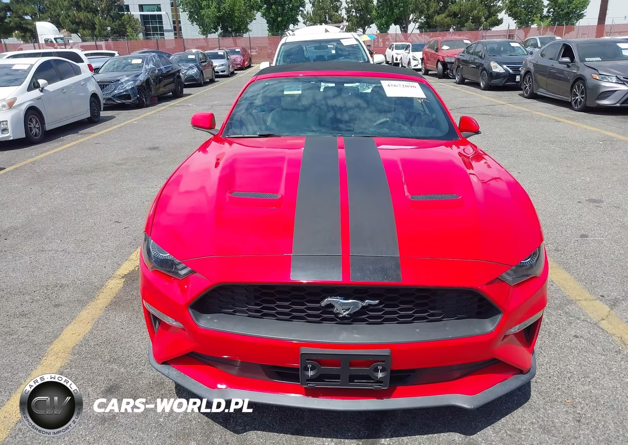 2019 Ford Mustang Ecoboost Premium VIN:1FATP8UH2K5205371 - 12