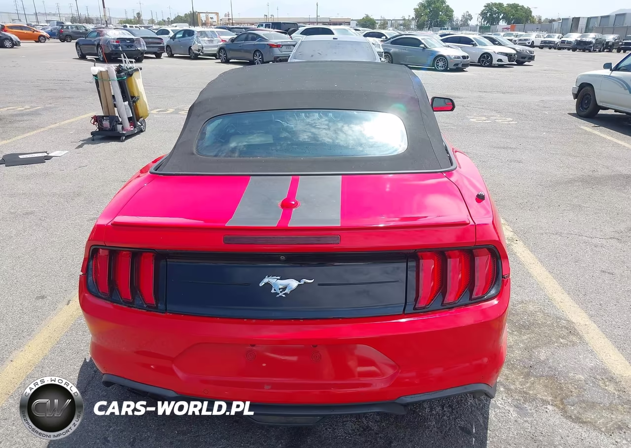 2019 Ford Mustang Ecoboost Premium VIN:1FATP8UH2K5205371 - 16
