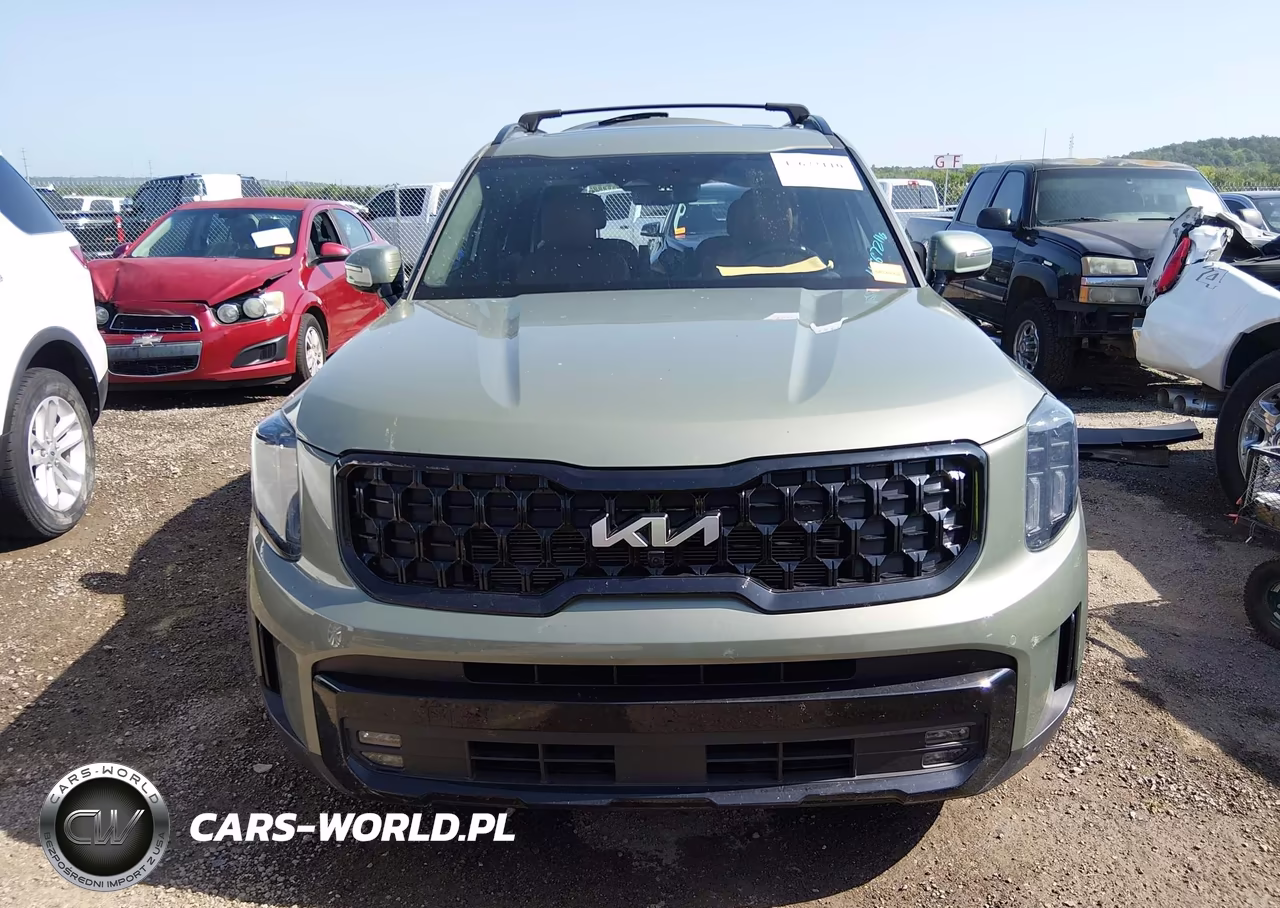 2024 Kia Telluride Sx Prestige X-Pro VIN:5XYP5DGC4RG522399 - 11