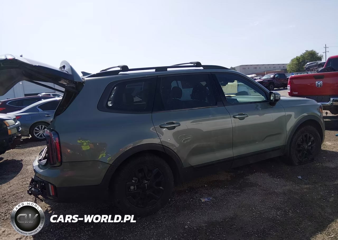 2024 Kia Telluride Sx Prestige X-Pro VIN:5XYP5DGC4RG522399 - 12
