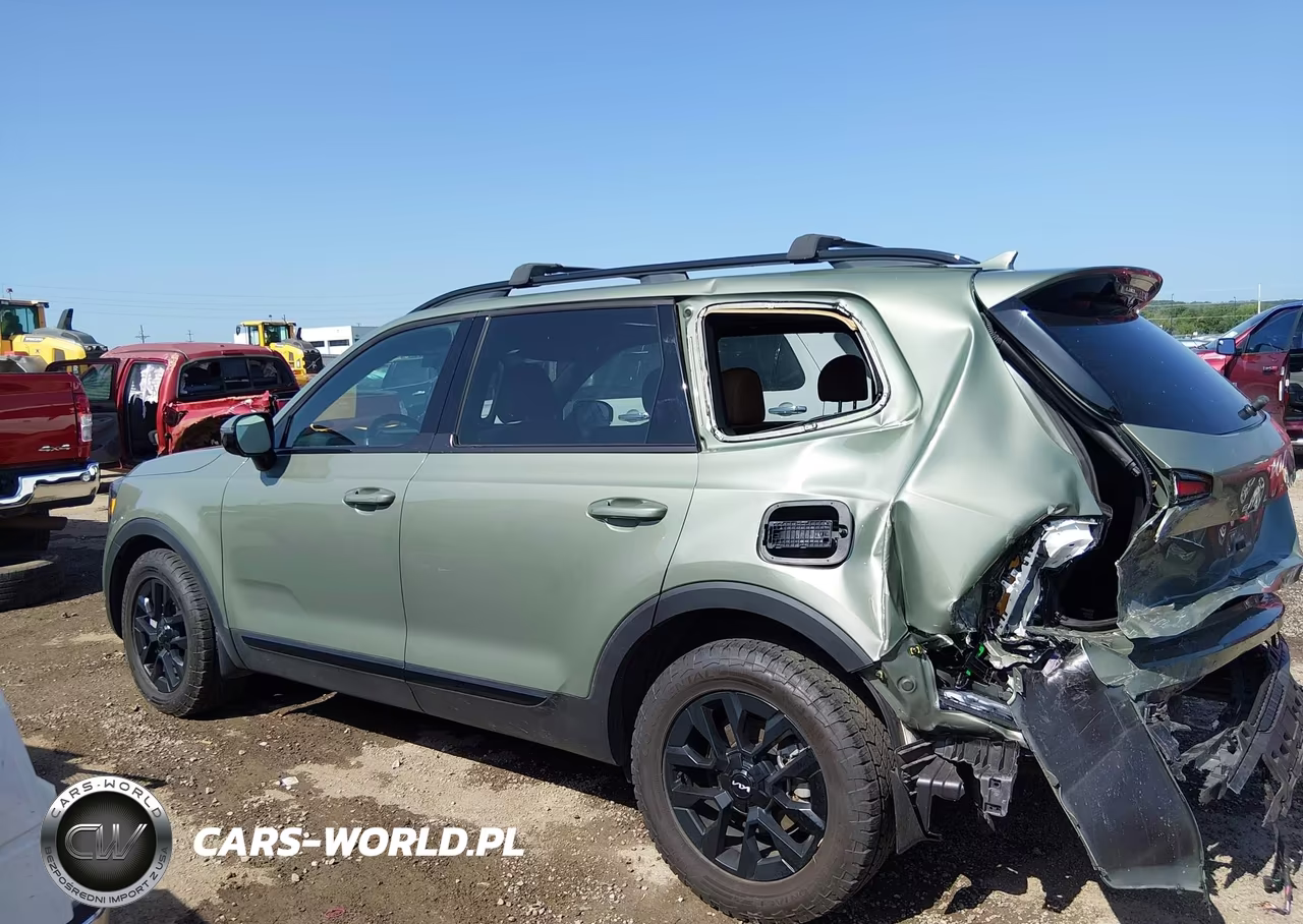 2024 Kia Telluride Sx Prestige X-Pro VIN:5XYP5DGC4RG522399 - 13