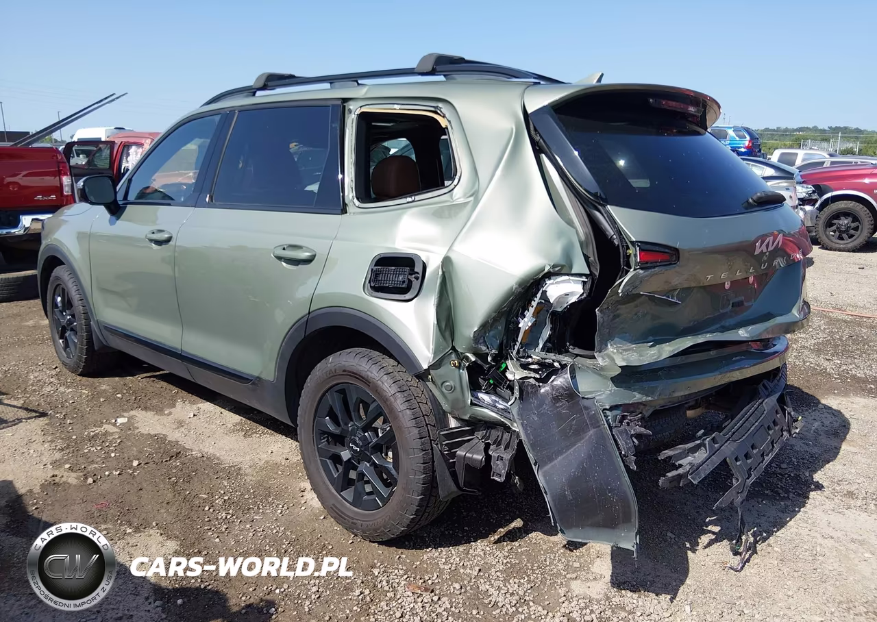 2024 Kia Telluride Sx Prestige X-Pro VIN:5XYP5DGC4RG522399 - 3