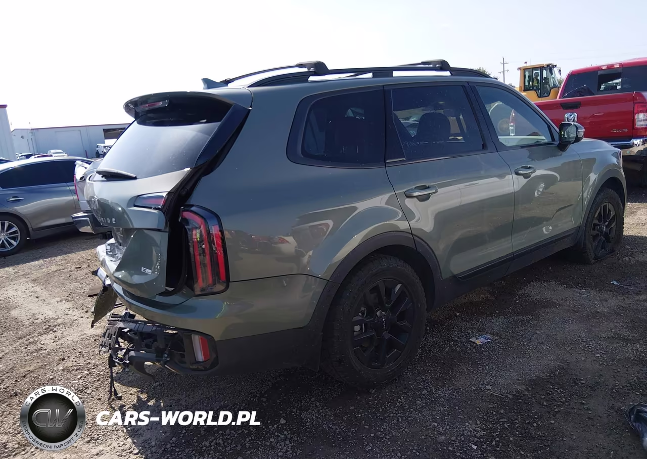 2024 Kia Telluride Sx Prestige X-Pro VIN:5XYP5DGC4RG522399 - 4