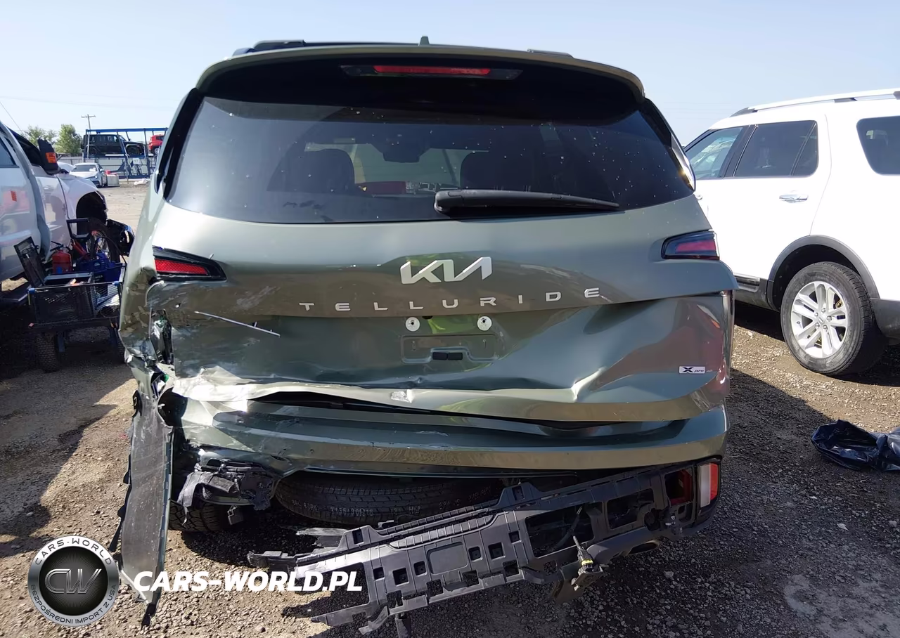 2024 Kia Telluride Sx Prestige X-Pro VIN:5XYP5DGC4RG522399 - 6