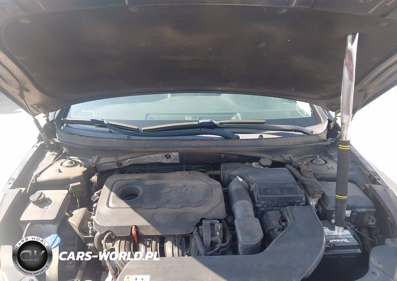 2016 Hyundai Sonata Se VIN:5NPE24AF9GH324037 - 10