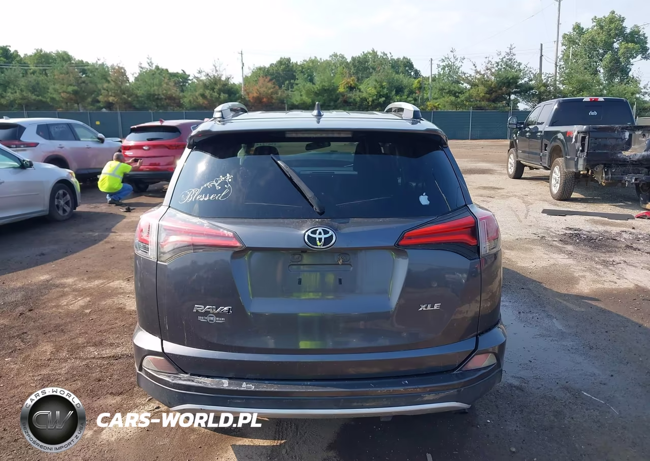 2016 Toyota Rav4 Xle VIN:2T3WFREV4GW267830 - 17