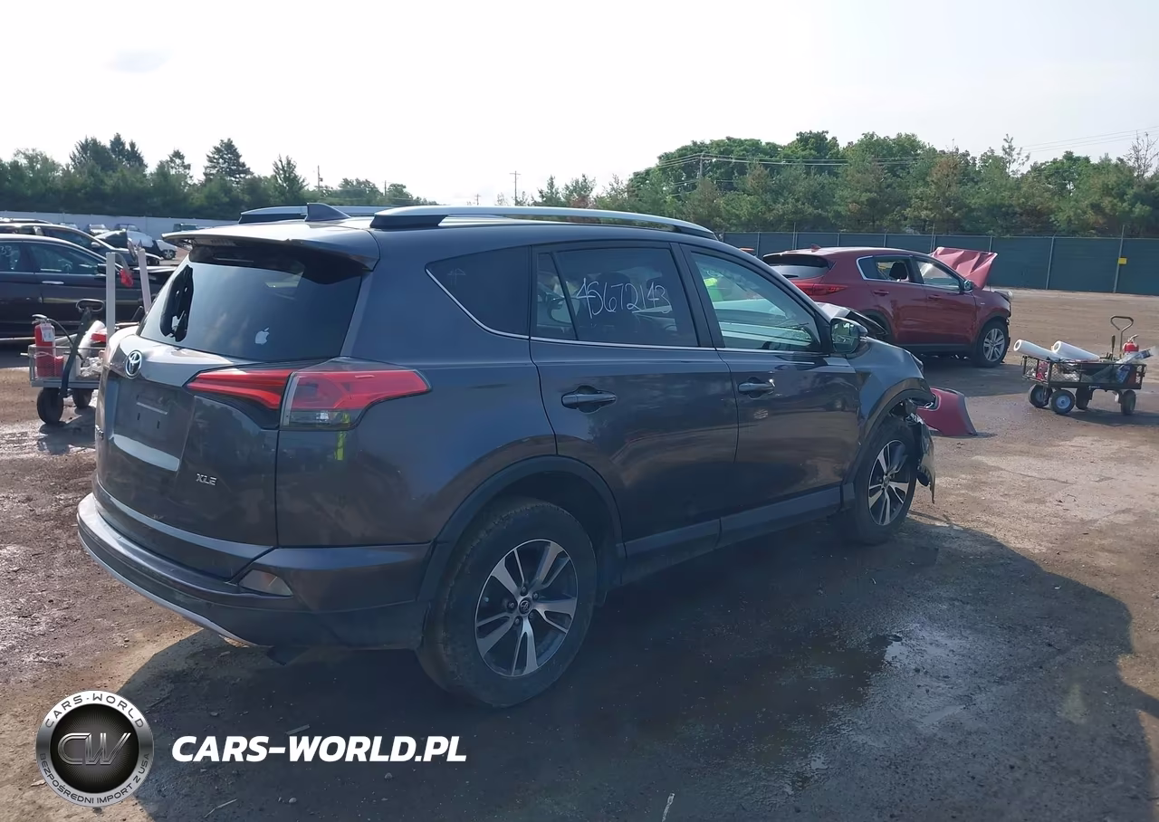 2016 Toyota Rav4 Xle VIN:2T3WFREV4GW267830 - 4