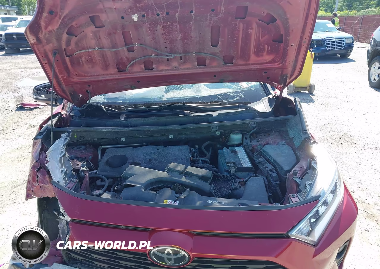 2019 Toyota Rav4 Xle VIN:JTMP1RFV1KD027870 - 10