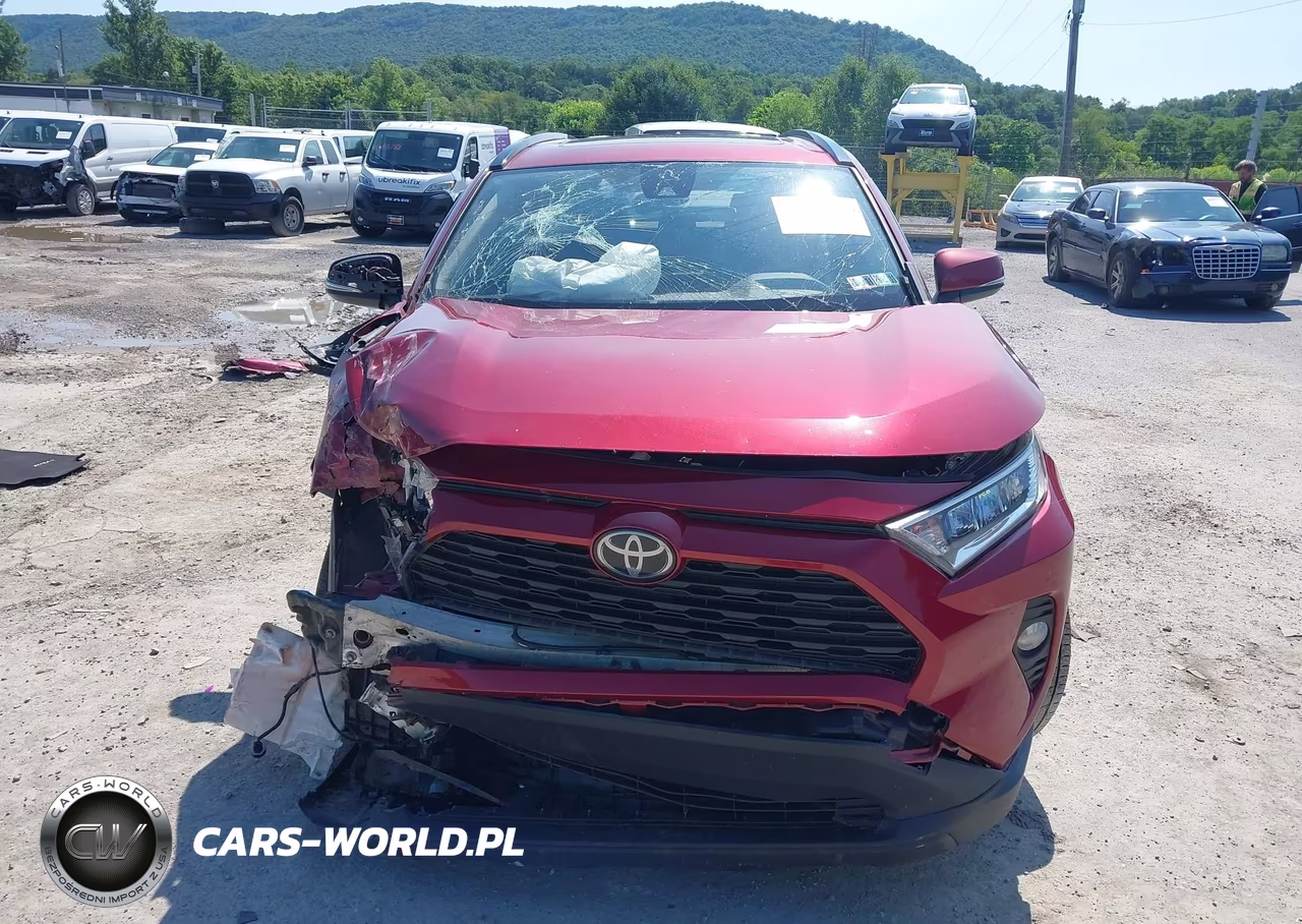 2019 Toyota Rav4 Xle VIN:JTMP1RFV1KD027870 - 13